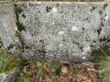 image of grave number 491416